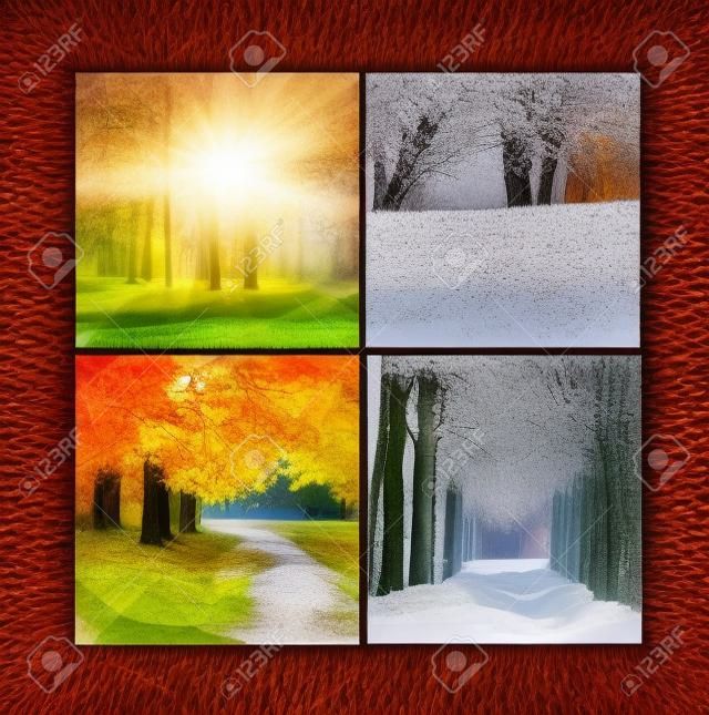 Collage seasons . All season. Seasons in one photo. Winter spring summer autumn. Tree branch. Grass with dew. Nature. Nicely