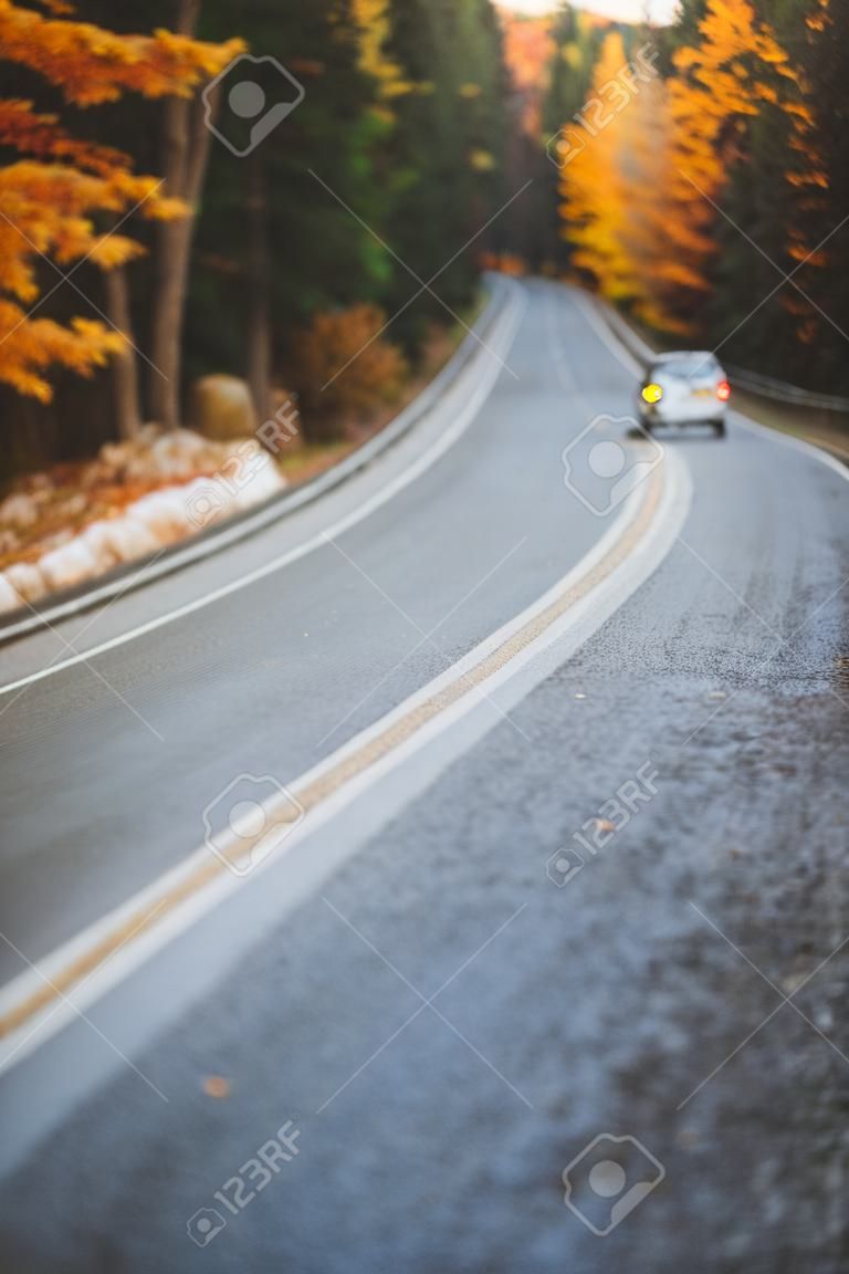 Autumn road among forest to the mountains. Fall travel, bad weather. Out of focus.