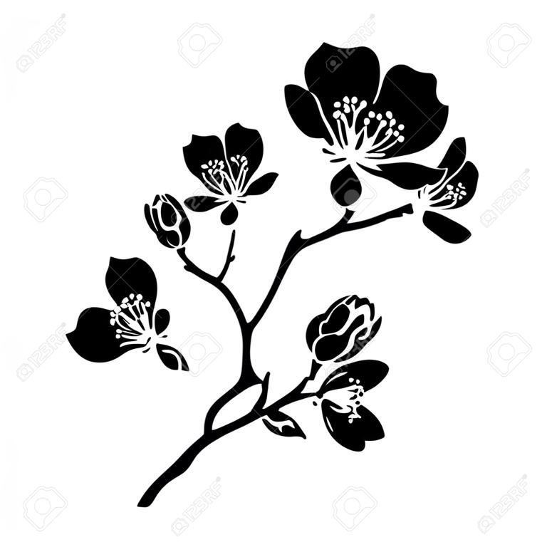 ramita flores de Sakura. Ilustración del vector. Contorno negro