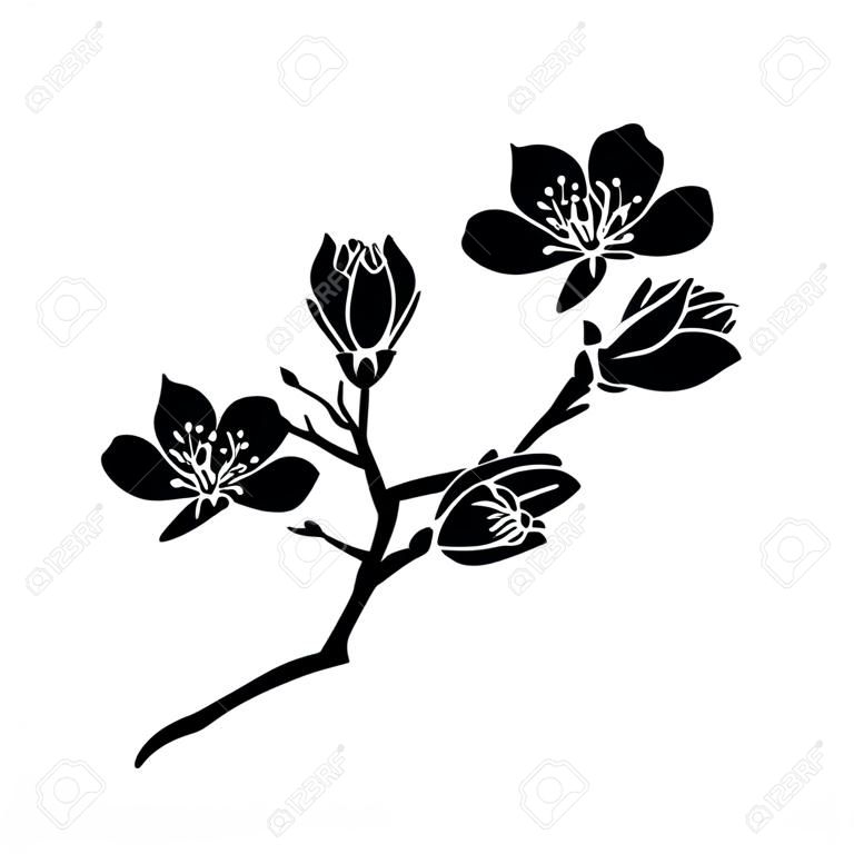 ramita flores de Sakura. Ilustración del vector. Contorno negro