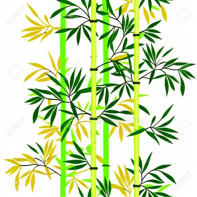 Modèle sans couture. Fond de feuille de bambou. Texture transparente florale avec des feuilles. Illustration vectorielle