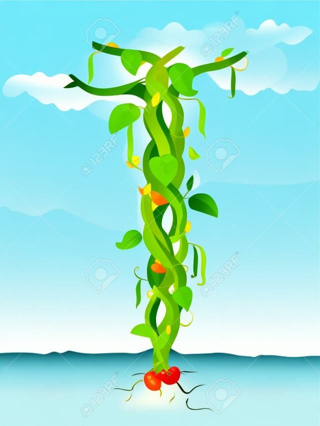 Векторная иллюстрация бобов на стебле сказку Джек и бобовый стебель концепции роста