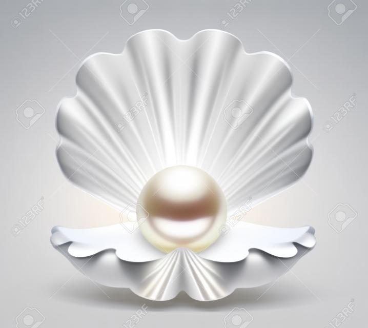 Perle Shell isoliert auf einem weißen . 3D Abbildung