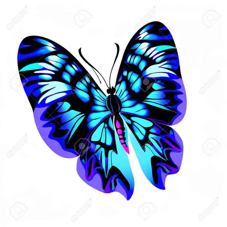 Beautiful bright blue butterfly. Vector illustration isolated.