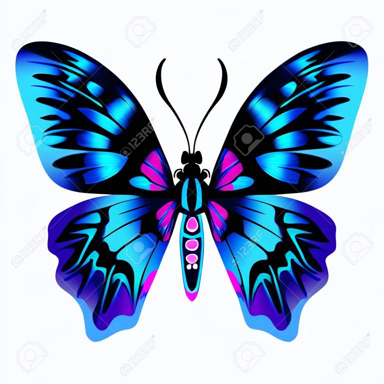 Bella farfalla blu brillante. Illustrazione vettoriale isolata.