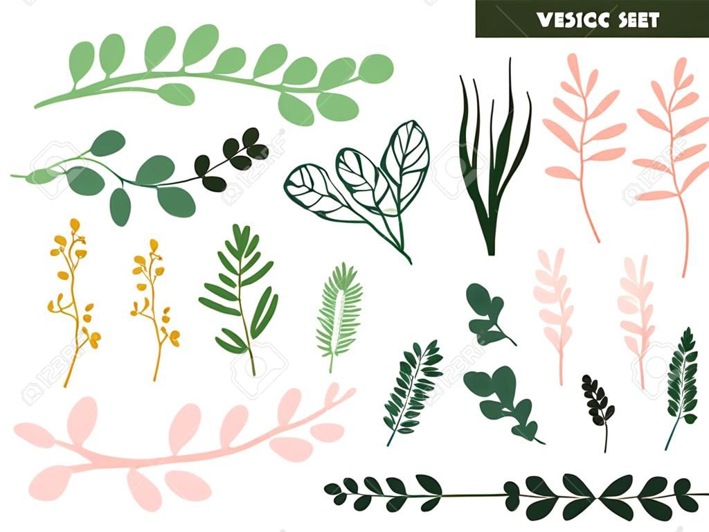 Ręcznie rysowane gałęzie i liście trawy zestaw prostych elementów dekoracyjnych wiosną lub latem do swoich projektów izolowanych obiektów wektorowych