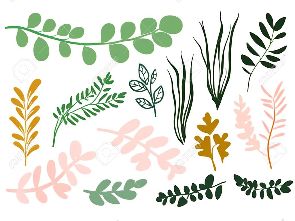 Ręcznie rysowane gałęzie i liście trawy zestaw prostych elementów dekoracyjnych wiosną lub latem do swoich projektów izolowanych obiektów wektorowych