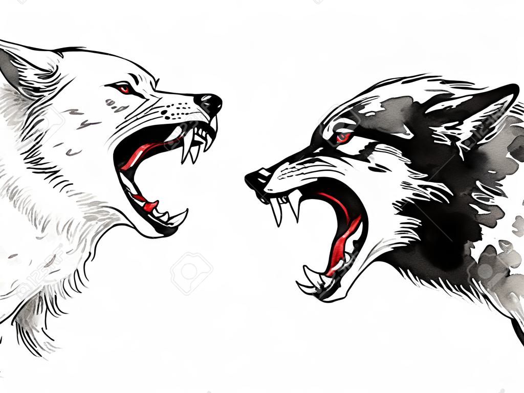 黒と白のオオカミが戦っている。インクと水彩画のイラスト