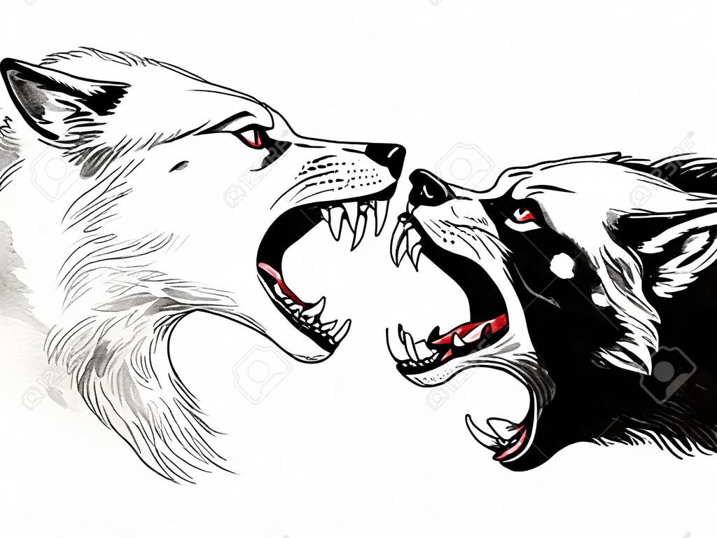 黒と白のオオカミが戦っている。インクと水彩画のイラスト