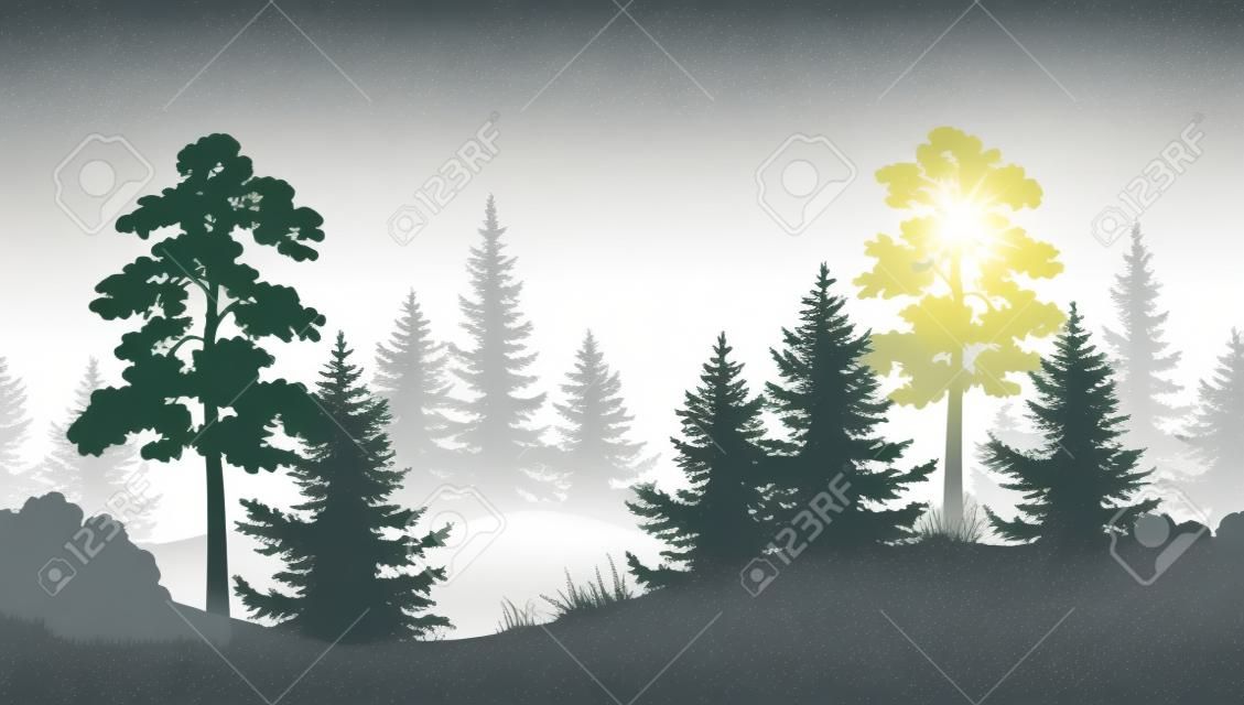 Egy varrat nélküli vízszintes nyári erdő fenyő, fenyő, fű és bokor fekete és szürke sziluettek fehér háttérrel. Vektor