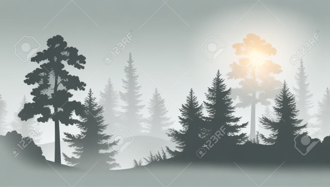 有杉木，杉樹，草和灌木黑和灰色剪影的一個無縫的水平的夏天森林在白色背景。向量