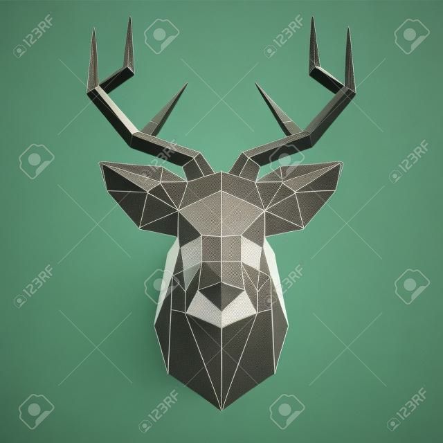 Polygonal head of deer