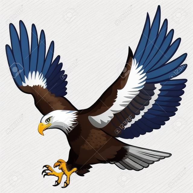 Gráfico colorido da águia calva americana na ilustração de pano de fundo branco.