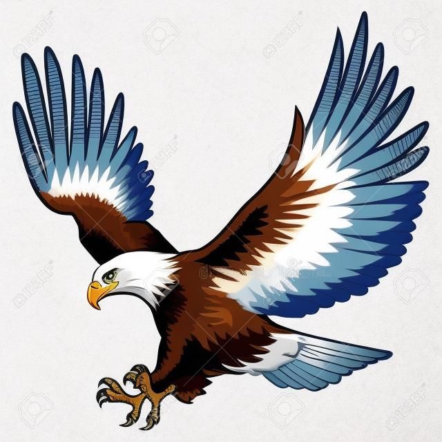 Colored graphic of american bald eagle on white backdrop illustration.