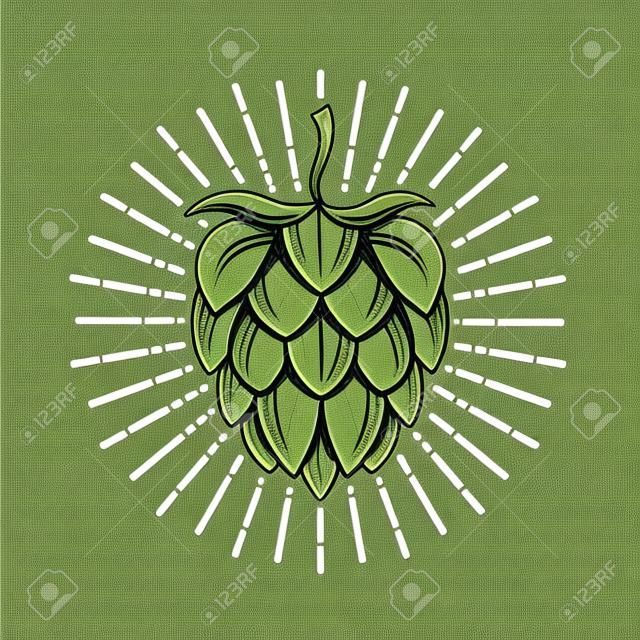 illustrazione del luppolo per birra