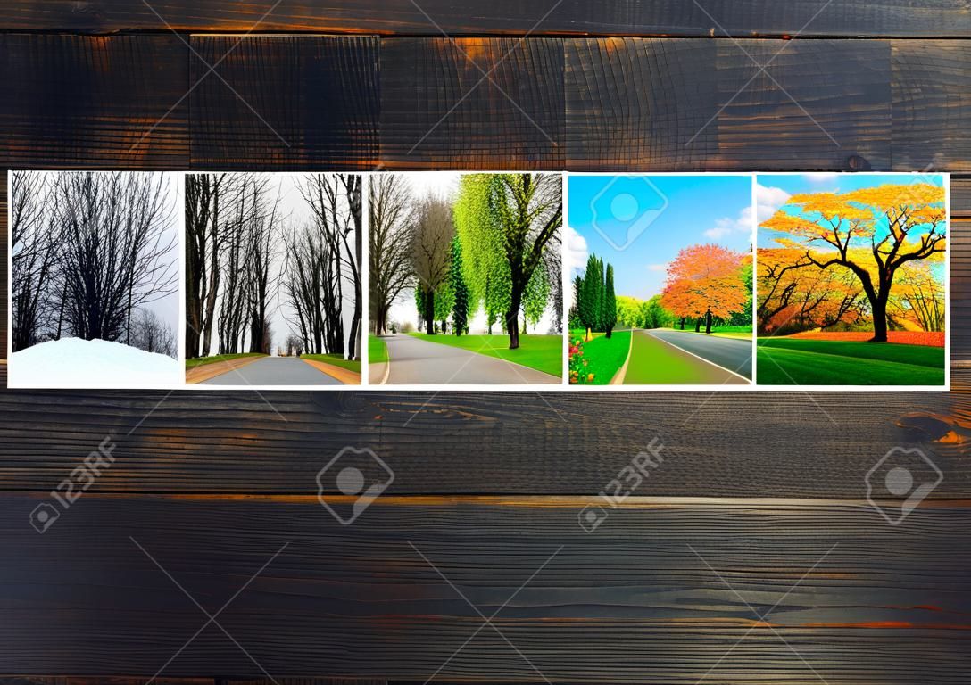 Four seasons on wooden background. Photos of four seasons attached to dark wooden wall. Four photos of same park taken at different times of year. Different times of year spring, summer, autumn,winter