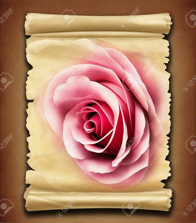 Vecchio pezzo di carta pergamena con disegno floreale romantico rosa lettera artistico background