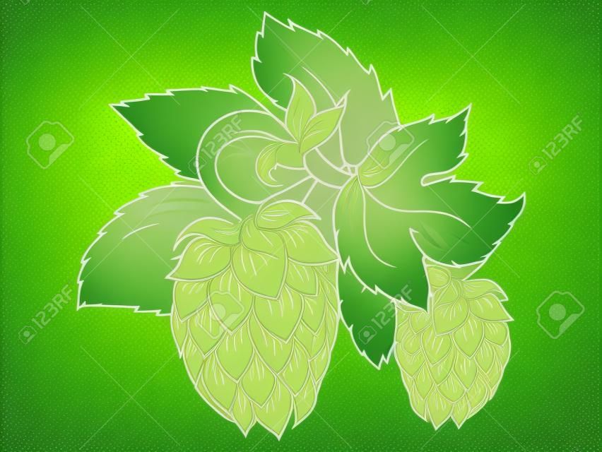 绿叶啤酒花矢量图
