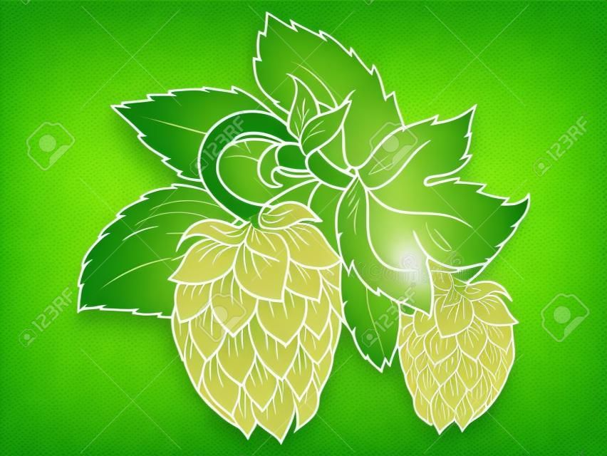 绿叶啤酒花矢量图