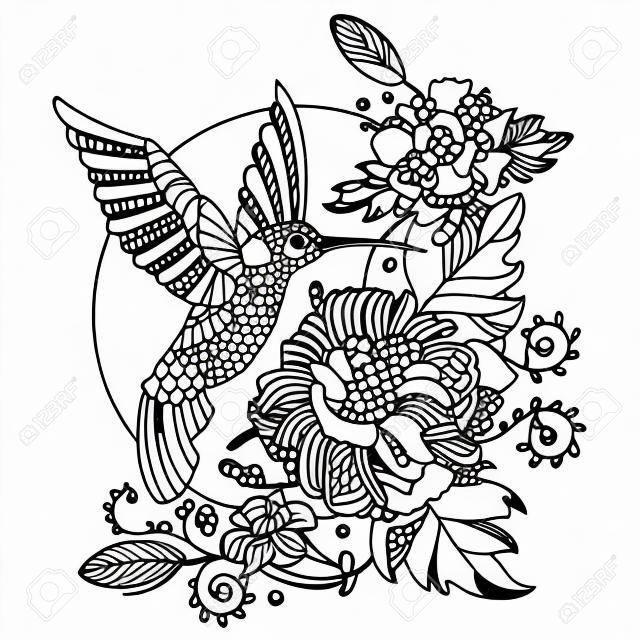 Hummingbird colibri 색칠하기 책 성인 벡터 일러스트 레이 션. 어른을위한 스트레스 방지 색소. 문신 스텐실. Zentangle 스타일. 흑백 라인. 레이스 패턴