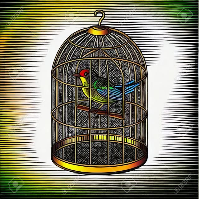 Bird in cage pop art style vector illustration