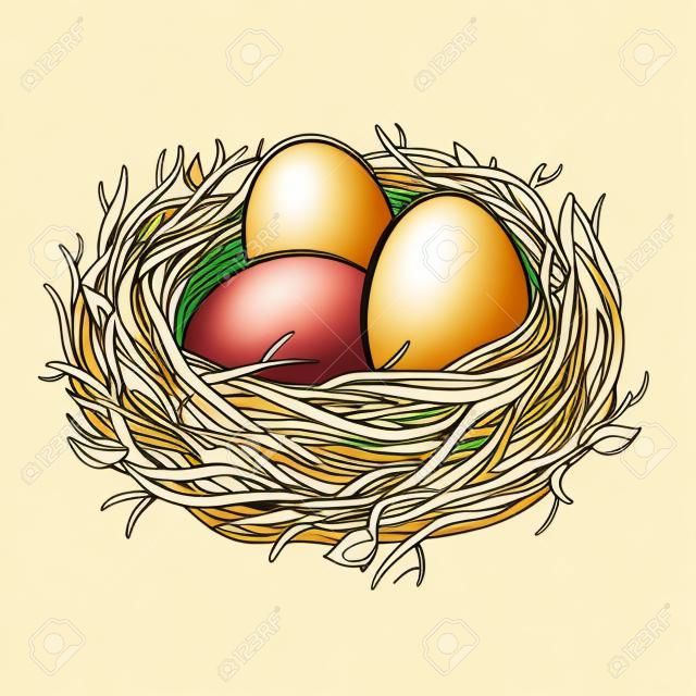 Nest with golden egg coloring illustration