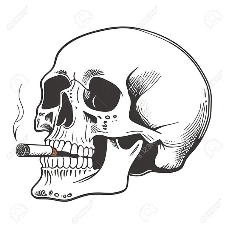Skull fumando cigarro gravura vector