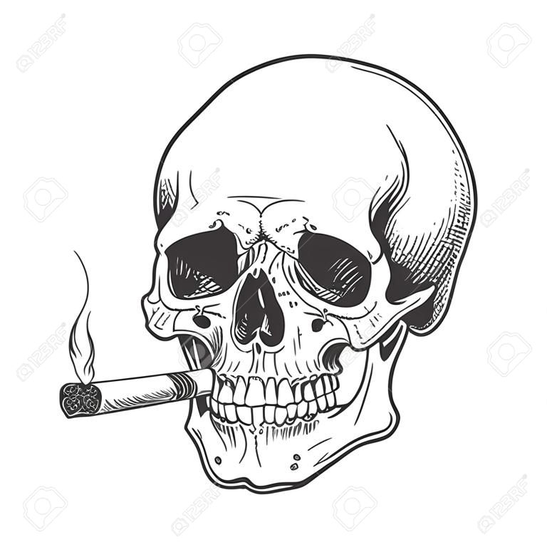 Skull fumando cigarro gravura vector