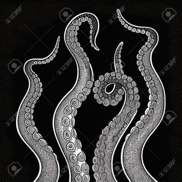 Octopus Tentakel Set Farbe Skizze Linie Kunst Gravur Vektor-Illustration. Nachahmung im Scratchboard-Stil. Handgezeichnetes Schwarz-Weiß-Bild.