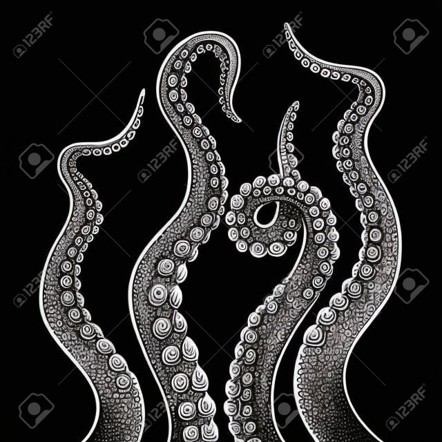 Octopus tentáculo conjunto cor esboço linha arte gravura ilustração vetorial. Scratch imitação estilo placa. Preto e branco mão desenhada imagem.