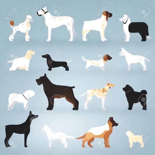 Dog breed vector illustration.