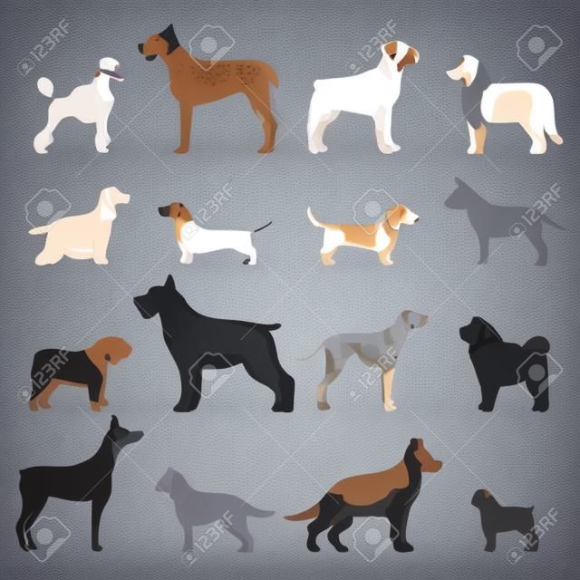 Dog illustrazione razza vettoriale.