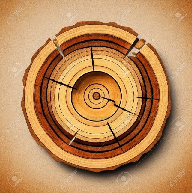 Tree trunk cross section natural cut wood slice circle timber ring flat vector. Wood slice natural plant circle and wood slice pattern stump. Rough old material wood slice texture tree.