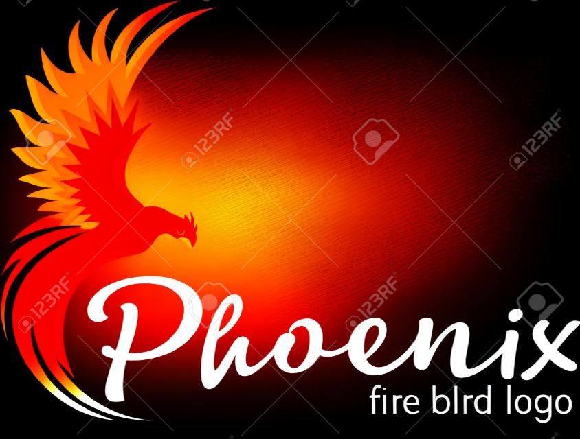 Phoenix bird logo. Vector logo in color.Fire bird.
