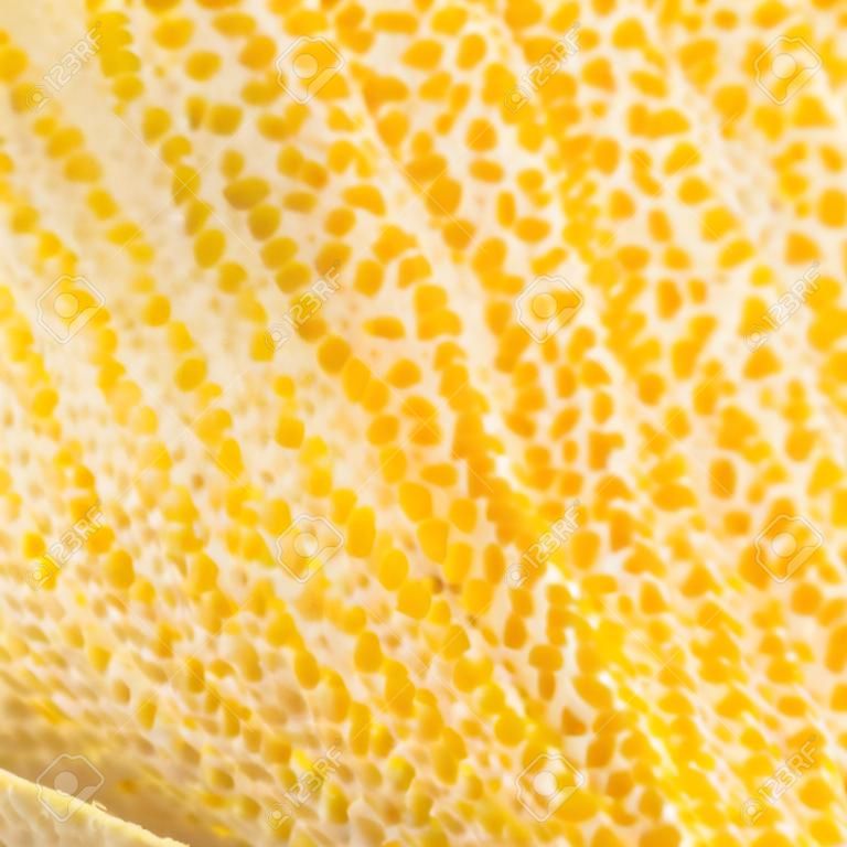 cáscara de limón textura macro