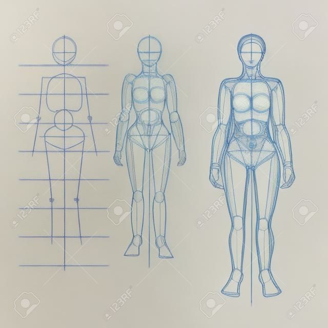 La construction du circuit de la figure humaine. Figure féminine - épaules étroites, des hanches larges. Dessin de ligne. Craie sur la carte d'étudiant.