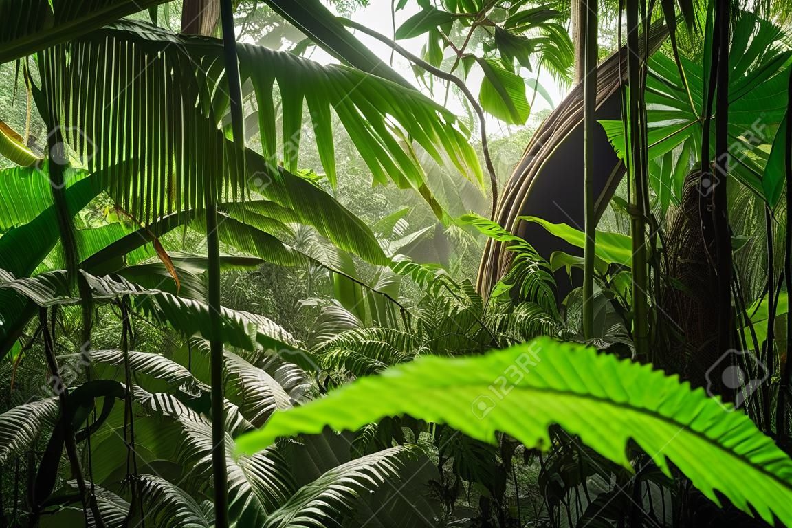 wind blowing through dense jungle foliage, creating rustling sounds, created with generative ai