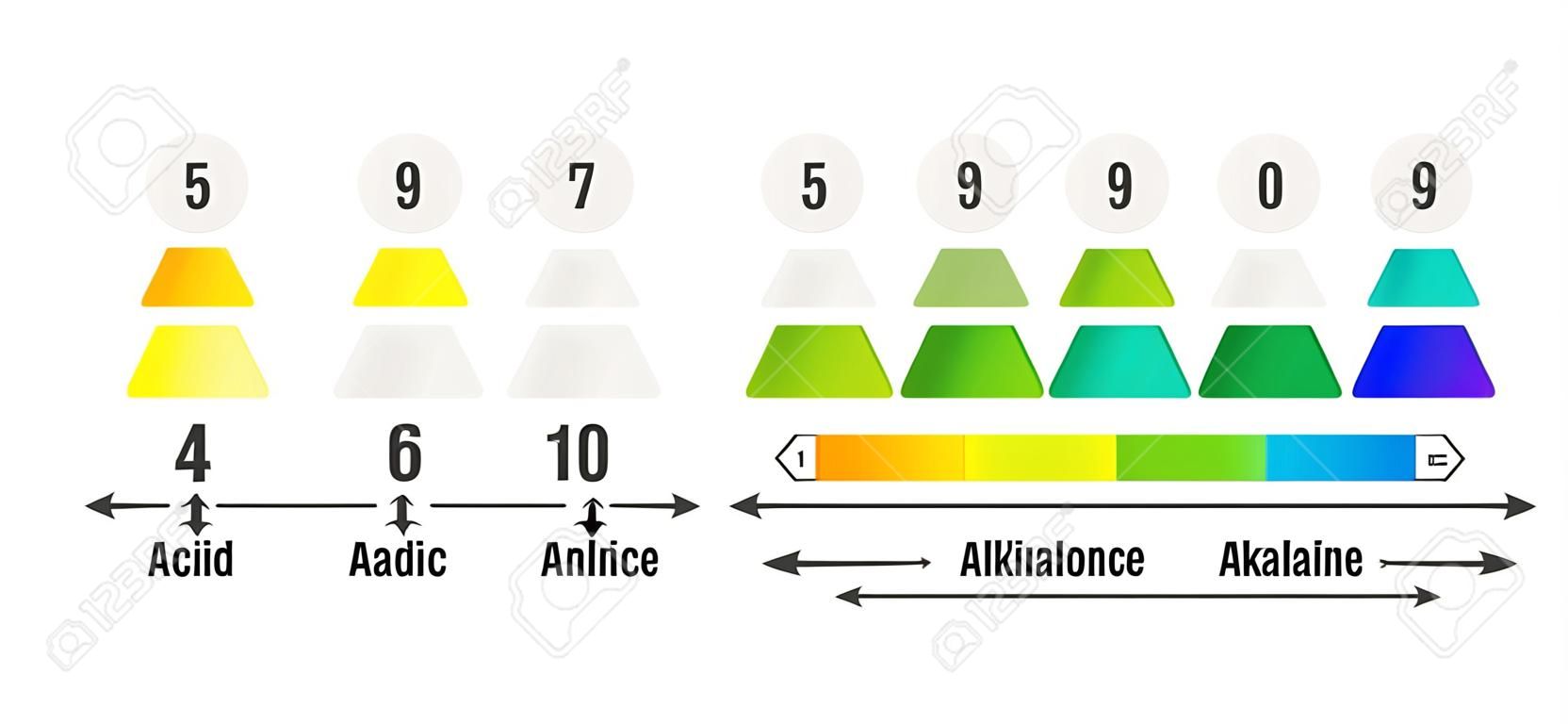 pH value scale chart for acid and alkaline solutions, acid-base balance infographic
