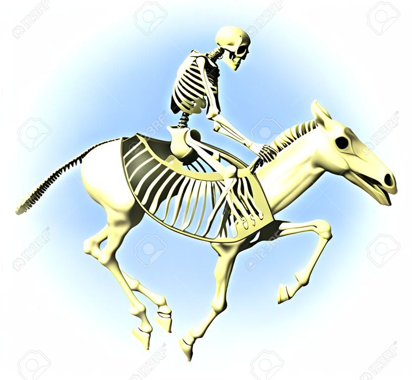 3D визуализации человеческого скелета верхом на скелете лошади.