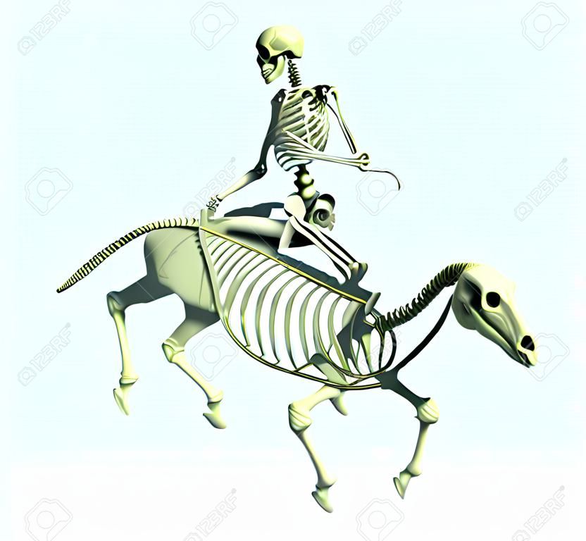 3D визуализации человеческого скелета верхом на скелете лошади.