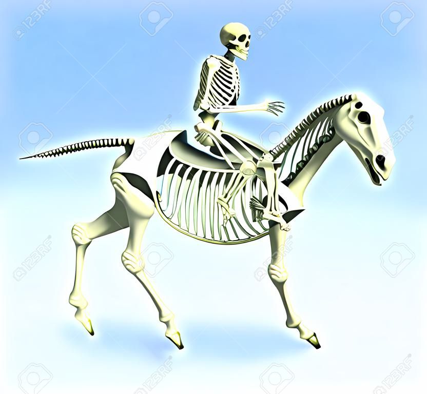3D rinden de un esqueleto humano esqueleto de un caballo.