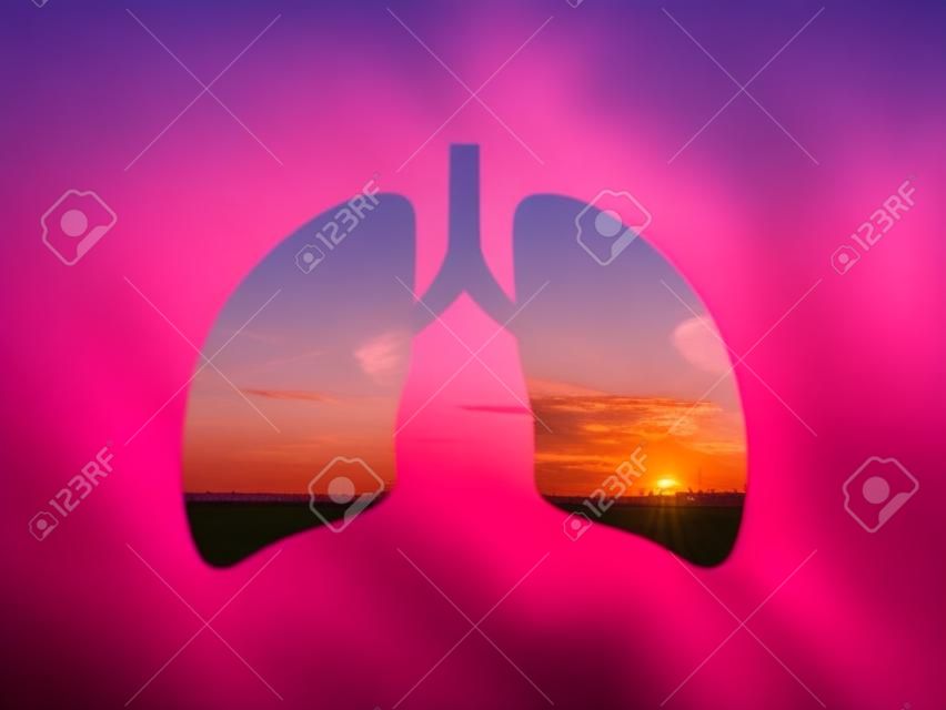 Hermosa nube rosa sobre el campo. puesta de sol de verano. Disparo a través de la silueta recortada de los pulmones. Día Internacional del Asma