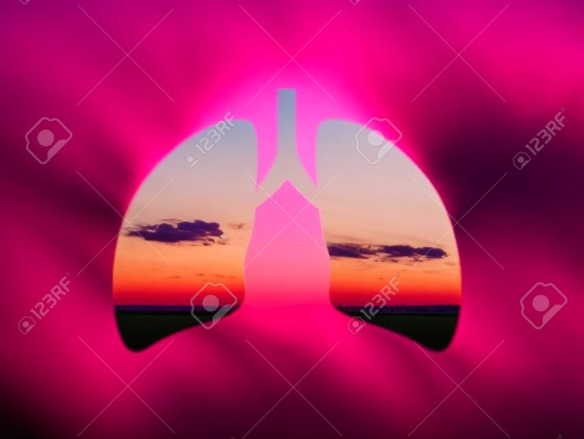 Beautiful pink cloud over the field. Summer sunset. Shot through the cut out silhouette of the lungs. International Asthma Day