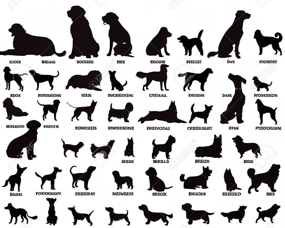Conjunto de silhuetas de cães de raças diferentes.