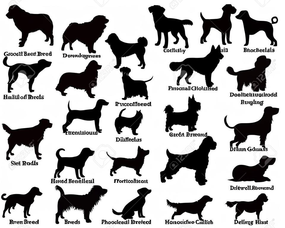 组的不同品种的狗剪影。