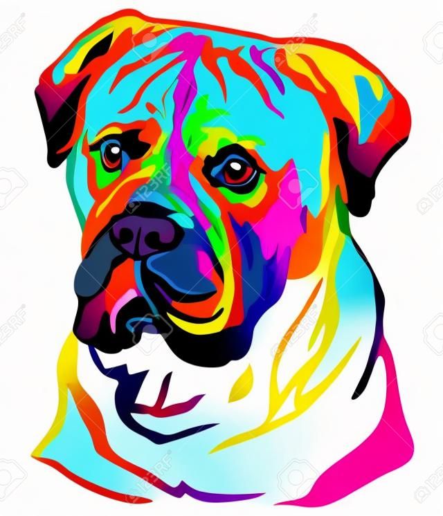 狗Bullmastiff，在白色背景用不同的顏色隔絕的傳染媒介例證五顏六色的裝飾畫象。設計和紋身的圖像。