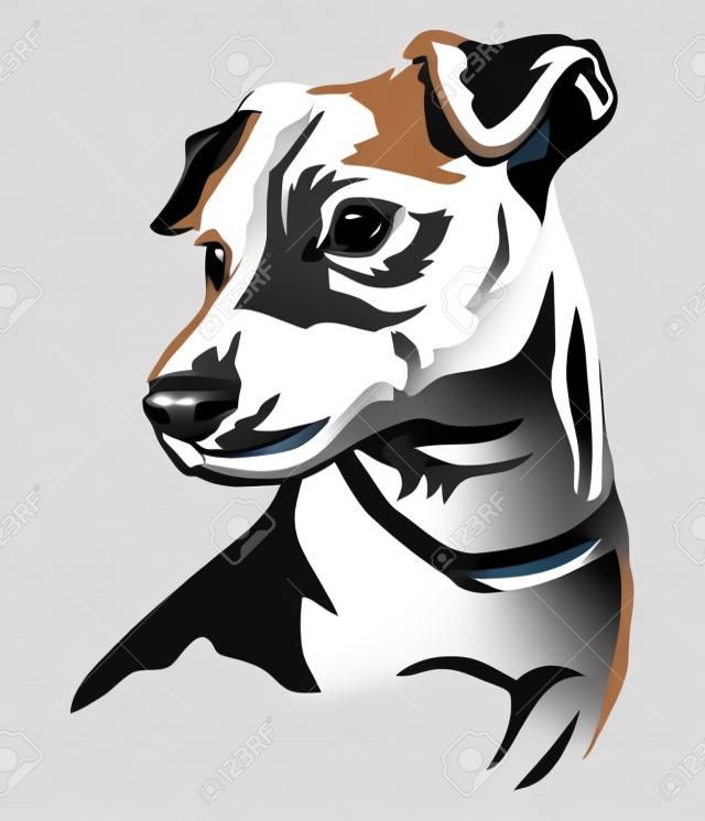 Ozdobny portret psa Jack Russell Terrier, wektor ilustracja na białym tle w kolorze czarnym na białym tle