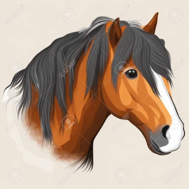 Portrait de cheval. Tête de cheval avec une longue crinière de profil en noir et blanc isolé sur fond beige. Illustration de dessin vectoriel main