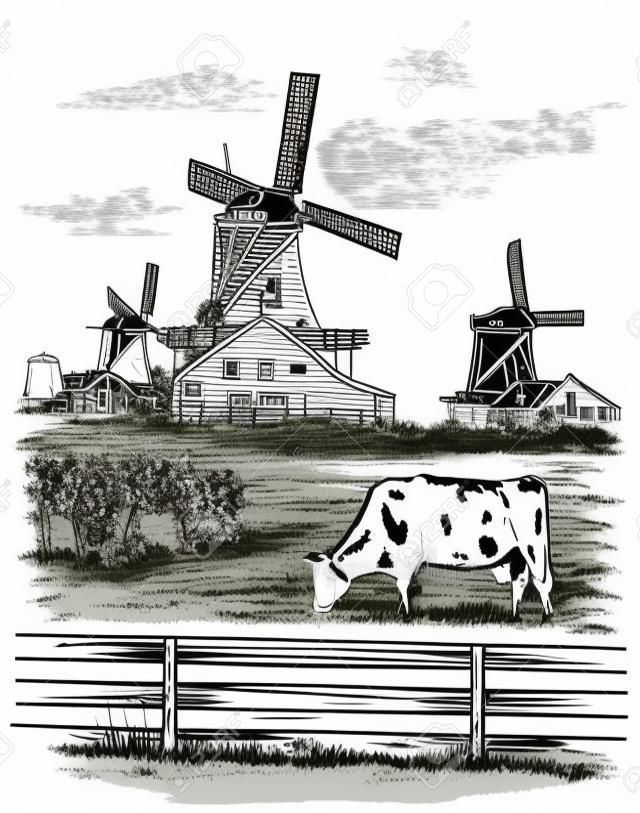 Vektorhandzeichnung Illustration der Wassermühle in Amsterdam (Niederlande, Holland). Wahrzeichen von Holland. Wassermühle und Kühe, die auf der Wiese weiden lassen. Vektorhandzeichnungsillustration in der schwarzen Farbe lokalisiert auf weißem Hintergrund.