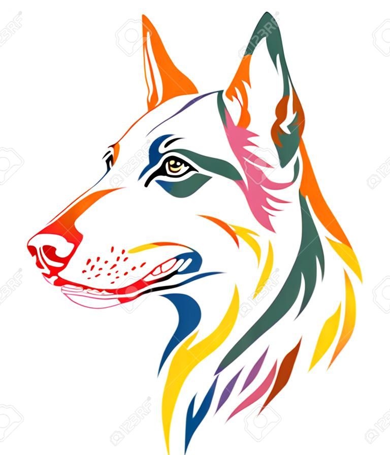 Colorful decorative outline portrait of Beauceron Dog looking in profile, illustration in different colors isolated on white background. Image for design and tattoo.